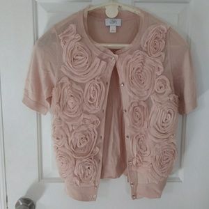 Ann Taylor Loft sweater